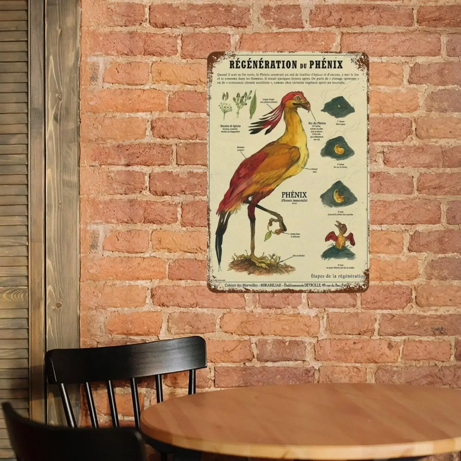 Винтажный натуральный исследование красная