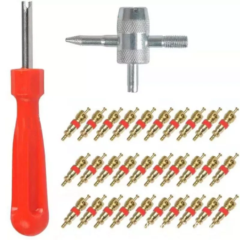 

32 Pcs Single Head Valve Cores Removers with 4 in 1 Tyre Valve Repair Tool