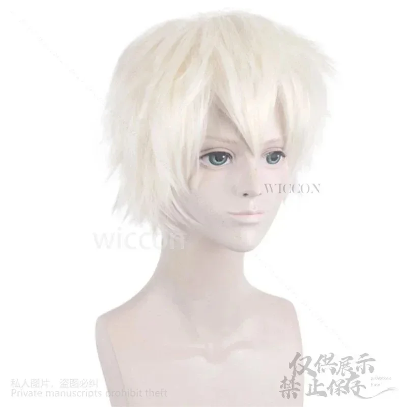 Фото A;3\v,7'd/Аниме BNA BRAND NEW ANIMAL OGAMI SHIROU Синтетические прямые короткие парики для косплея для мужчин и женщин Высокое качество;5'b\8/ №1