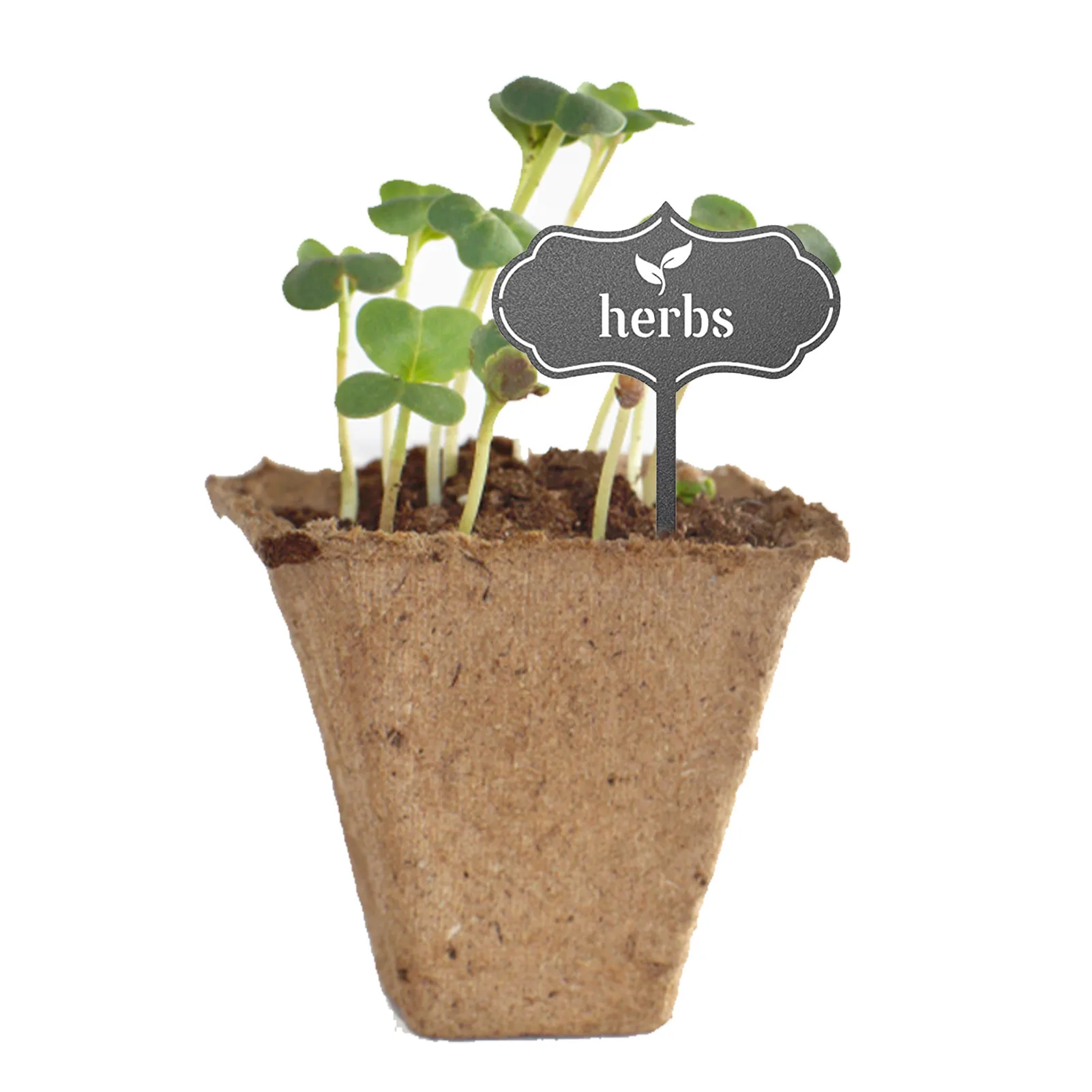 

Ярлыки для растений в горшках, Т-образные ярлыки для растений, ярлыки для садовых маркеров, прочная и крепкая этикетка для посадки в горшках,...