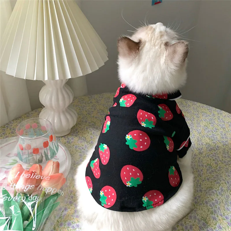 

Spring Cat Costume Cute Cozy Pet Clothes for Cats Katten Kedi Hoodie Mascotas Gato Sweatshirt Cat Sweater Pets Clothing Outfit