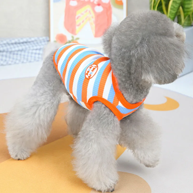 Женская рубашка одежда для кошек вязаный свитшот собак жилет летний пуловер