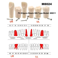 10pcs kilgore nissin 500 type dental replacement standard practice screw in teeth model m8024 11 16 21 26 36 46 study