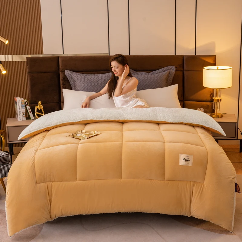 Autumn and winter quilt vacuum lamb's wool thickened warm dormitory shipping student bedding