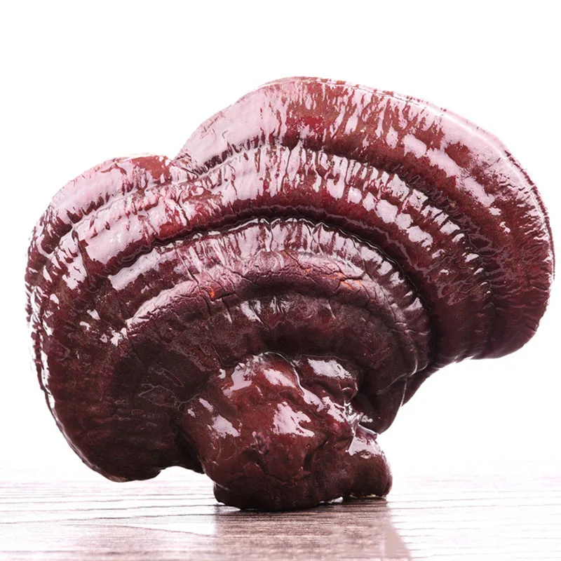 

Wild Reishi Mushroom(Organic)/Organic Gannoderma Liucium Whole Red Reishi Mushroom Chinese Health Herbs Ling Zhi Powder