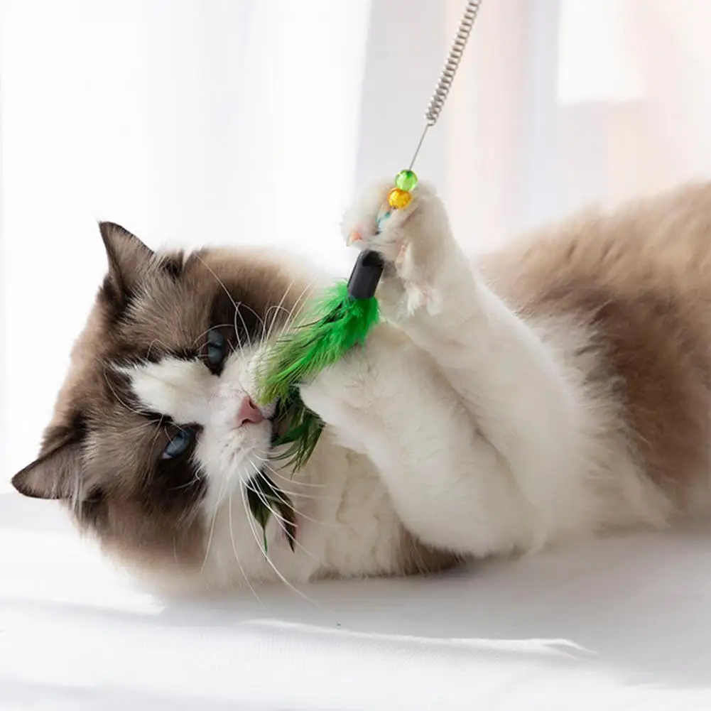 

Cats Stick Attractive PC Long Lifespan Chicken Feather Cat Stick Toy for Home Cat Toy Cats Wand Toy