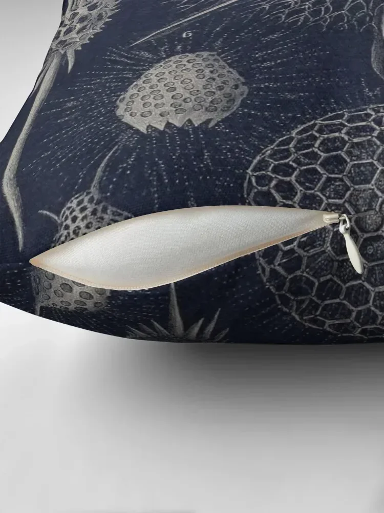 Винтажная подушка Radiolaria Fossils детская чехол