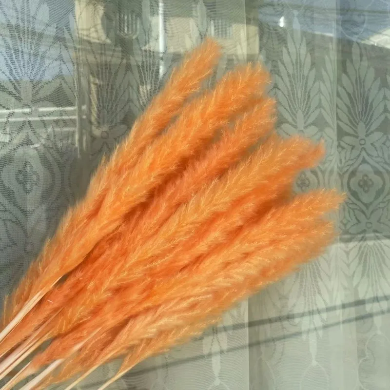 

15 Pcs Dried Flower Small Reed Eternal Flower Pampas Grass Wedding Decor Flower Wedding Gifts For Guests Bridal Wedding Bouquet