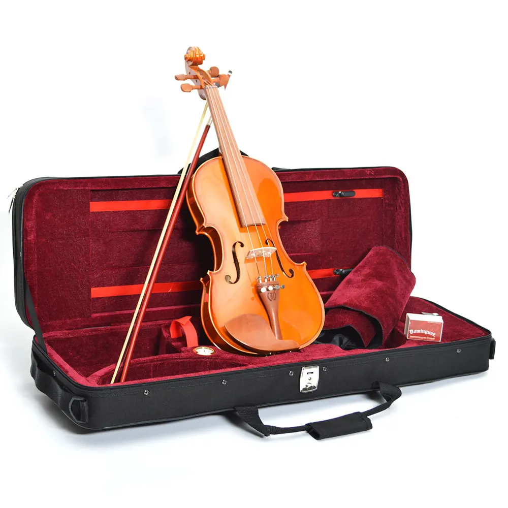 

DOMİNGUEZ ROSE VIOLIN 4/4 (DVR44Y)