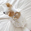 Pet Dog Skirt Spring Summer Thin Puppy Dress Pet Fruit Clothes Bichon Cherry Clothes Soft Dog Clothes XS-XL 4