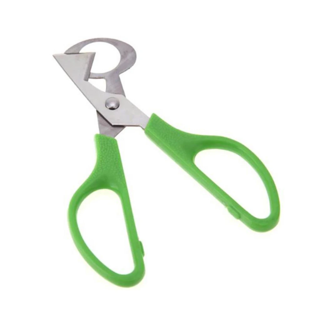 

Pigeon Quail Egg Scissor Bird Cutter Opener Kitchen Tool Clipper Sale Shells Scissors Cracker Cigar Stainless Steel Blade House
