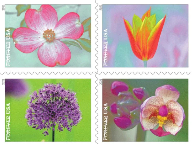 

2021Beauty of the garden , 20 шт./компл. New