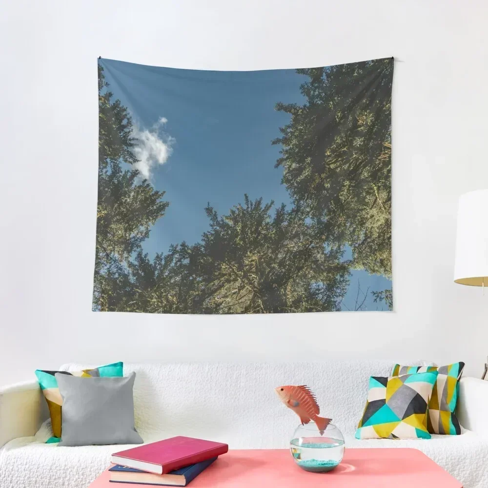 Деревья в Хоге Тропический лес - Путешествие Солнце Лес Природа Дерево солнце