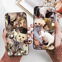 crying cat memes phone case for samsung a51 a30s a52 a71 a12 for huawei honor 10i for oppo vivo y11 cover