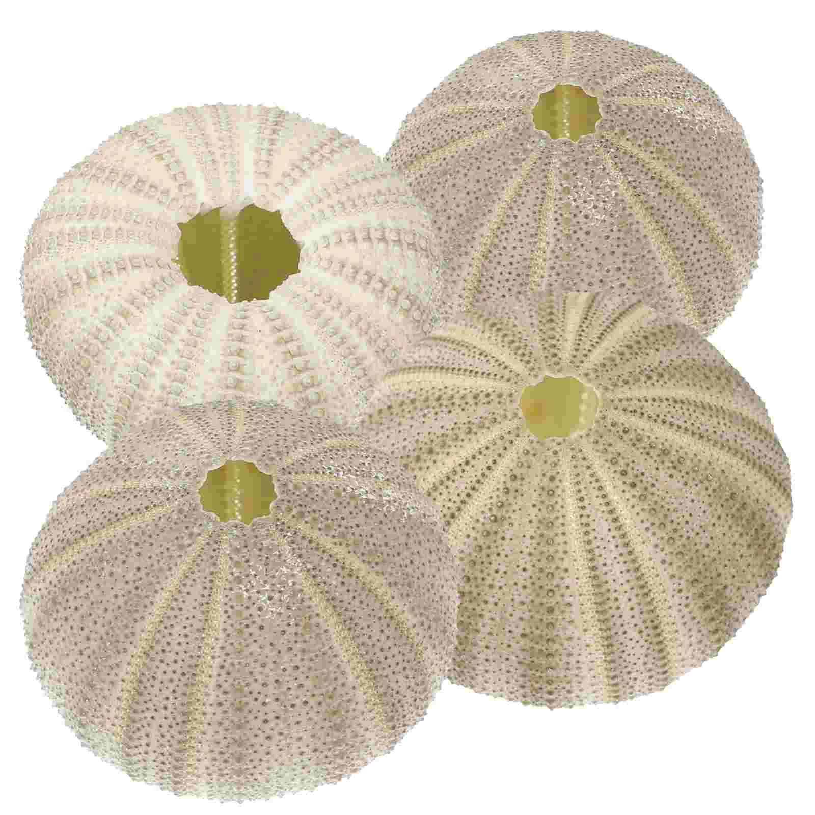 

Морские раковины с урбоном, ракушки, воздух, Сосновая живопись, украшение для пляжа, плантатор, искусственные украшения, контейнер для рукод...