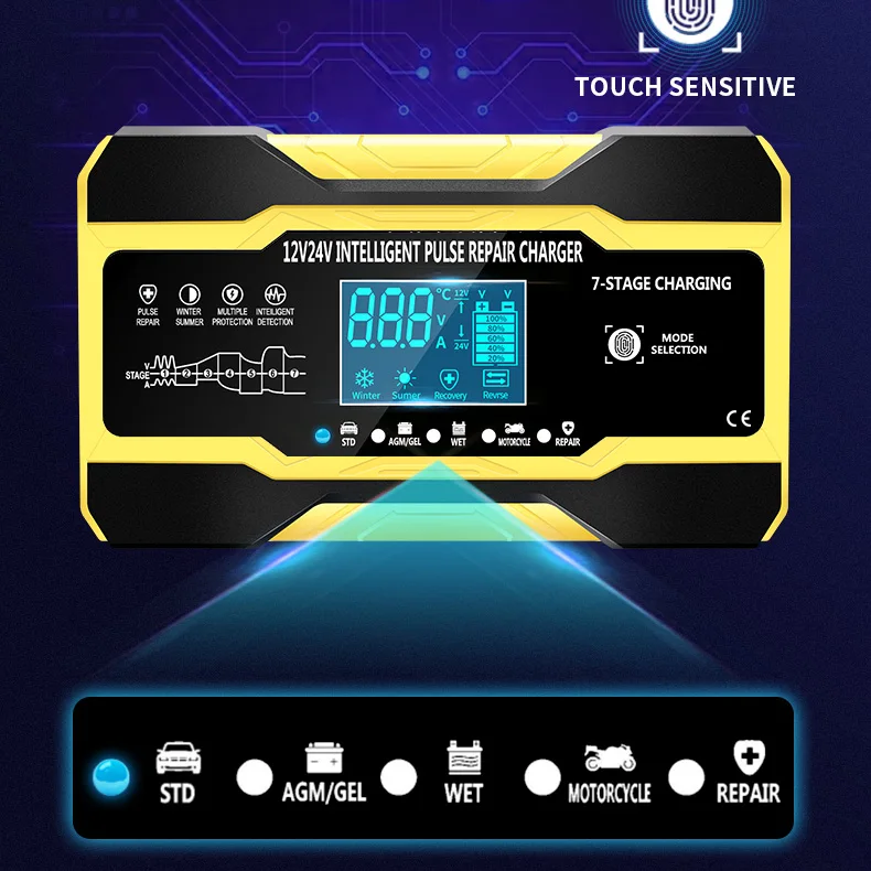 Автомобильное зарядное устройство для аккумуляторов 12 В/24 В