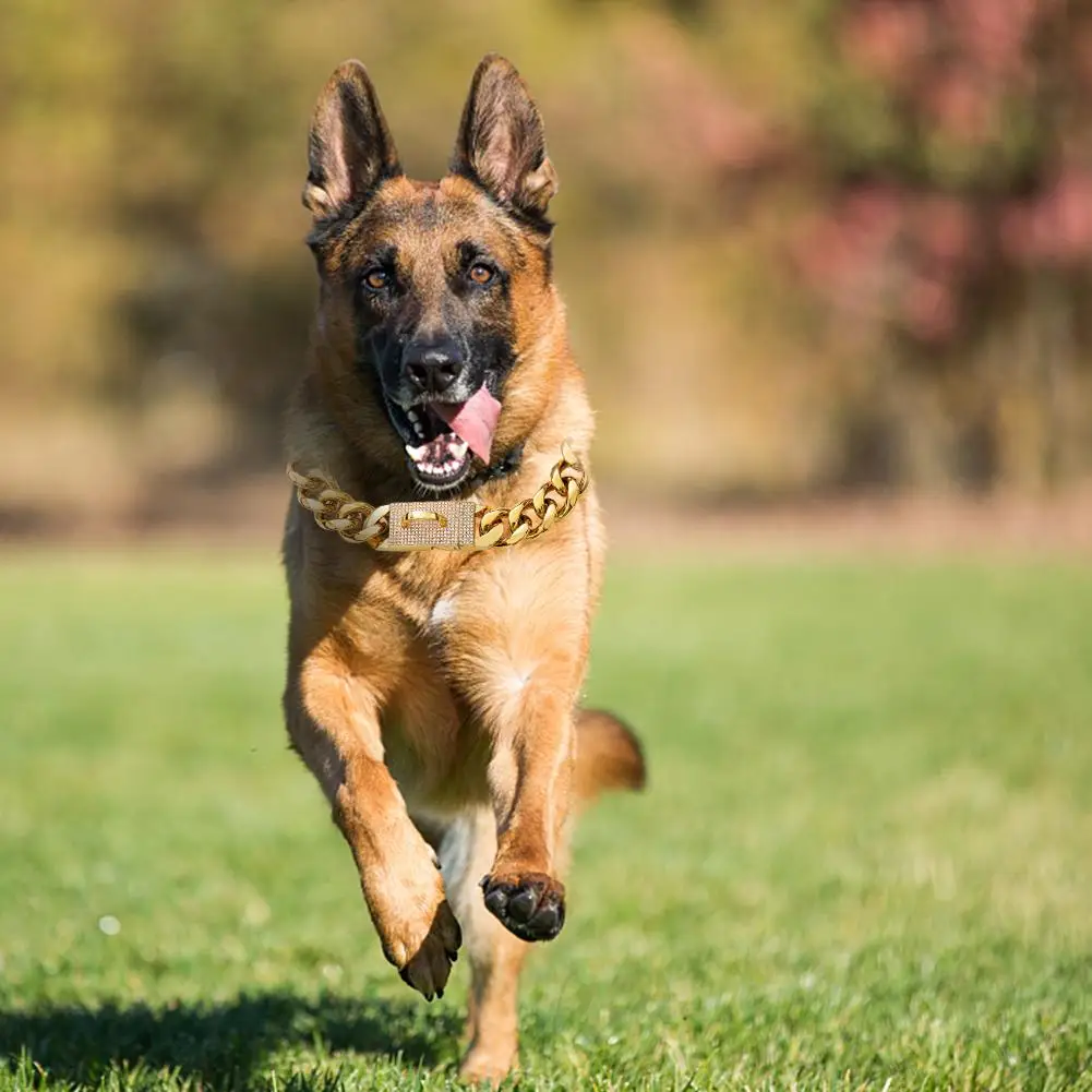 Ошейник для собак среднего и большого размера из титановой стали толщиной 19 мм