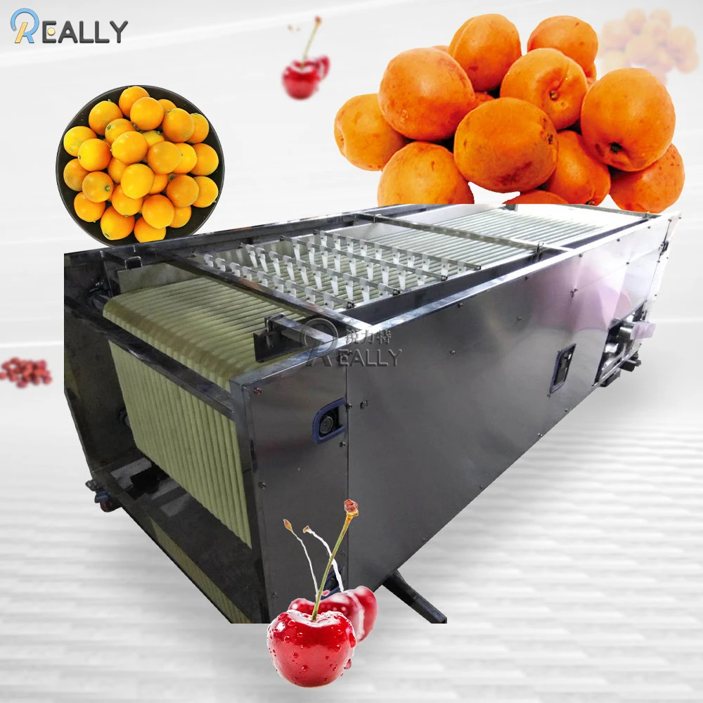 

Good Performance Lychee Jujube Sortor Blueberry Sorting Cherry Tomato Cherry Calibrator Machine