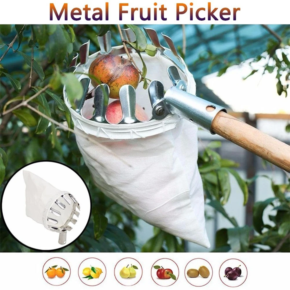 

Metal Farm Fruit Picker Head Orchard Gardening Greenhouse Pear Peach Orange Collection Picking Catcher Device without Handle