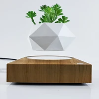 magnetic levitation floating bonsai levitating planter for garden supplies and home decor