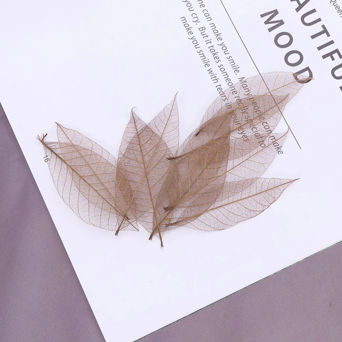 

Leavesdried Leaf Rubber Naturaltree Specimen Wall Artificial Diy Flower Flowerscraft Crafts Bookmark Pressed Scrapbooking