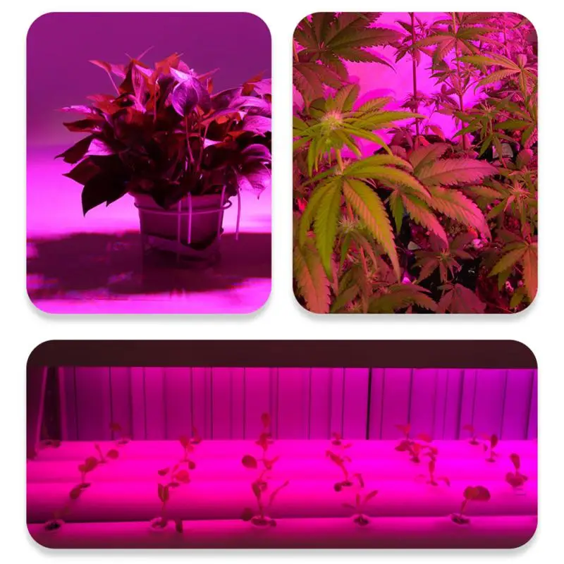 

E27 внутренняя лампа для выращивания растений, светодиодная лампа полного спектра, прочная Светодиодная лампа для роста растений для помещений, гидропоника, цветов, растений