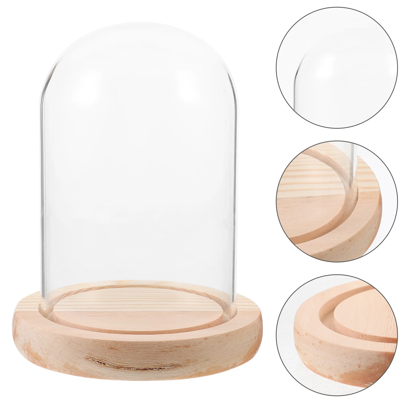 

Display Cases for Collectibles Glass Domes Globes of Earth Ornaments Cloche Preserved Flower Covers