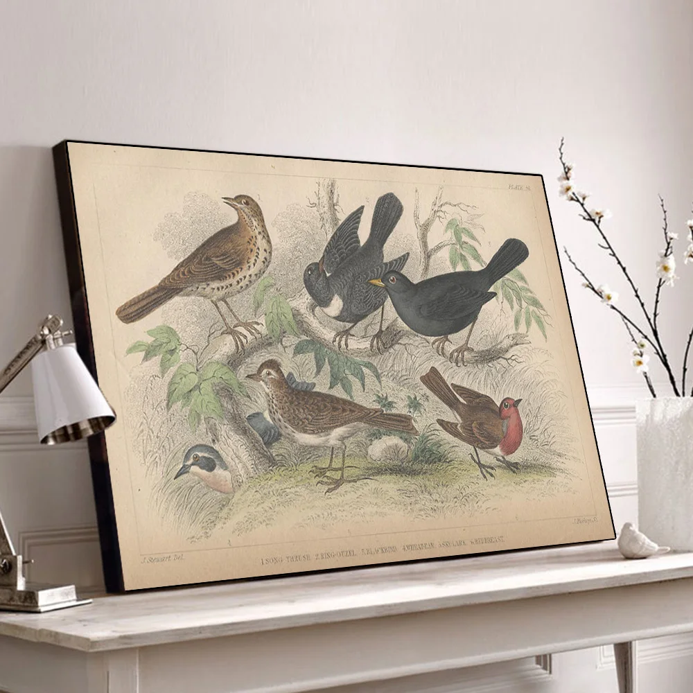 Винтажный плакат с изображением природы Оливера золотого Смита история земли и