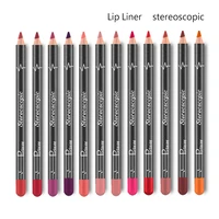 pudaier 12 color sets lip liner waterproof and non smudged make up matte velvet lipstick pen burst beauty cosmetics