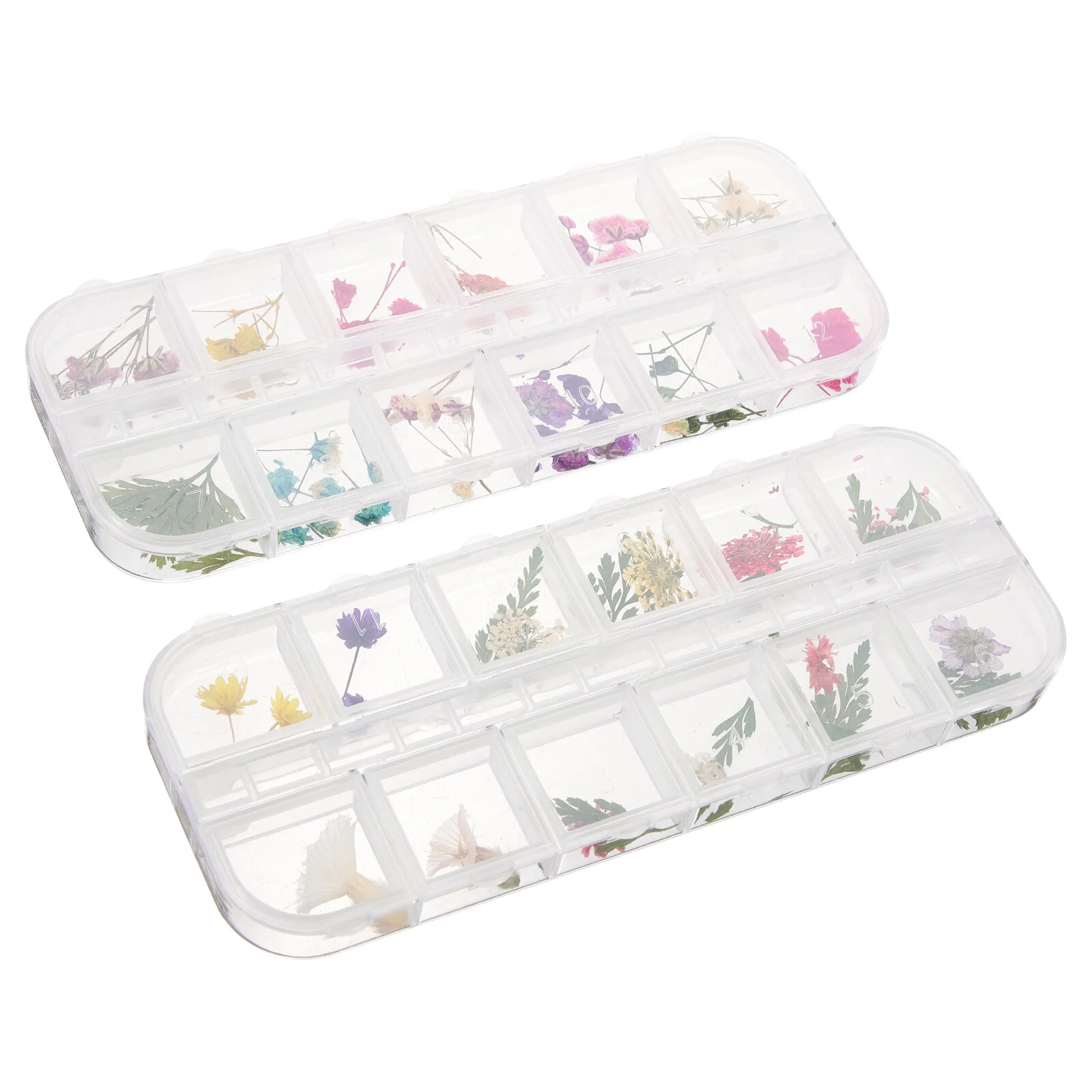 

2 Boxes Dried Flowers Nail Dry Flowers Nails Supplies Small Tiny Dried Flowers