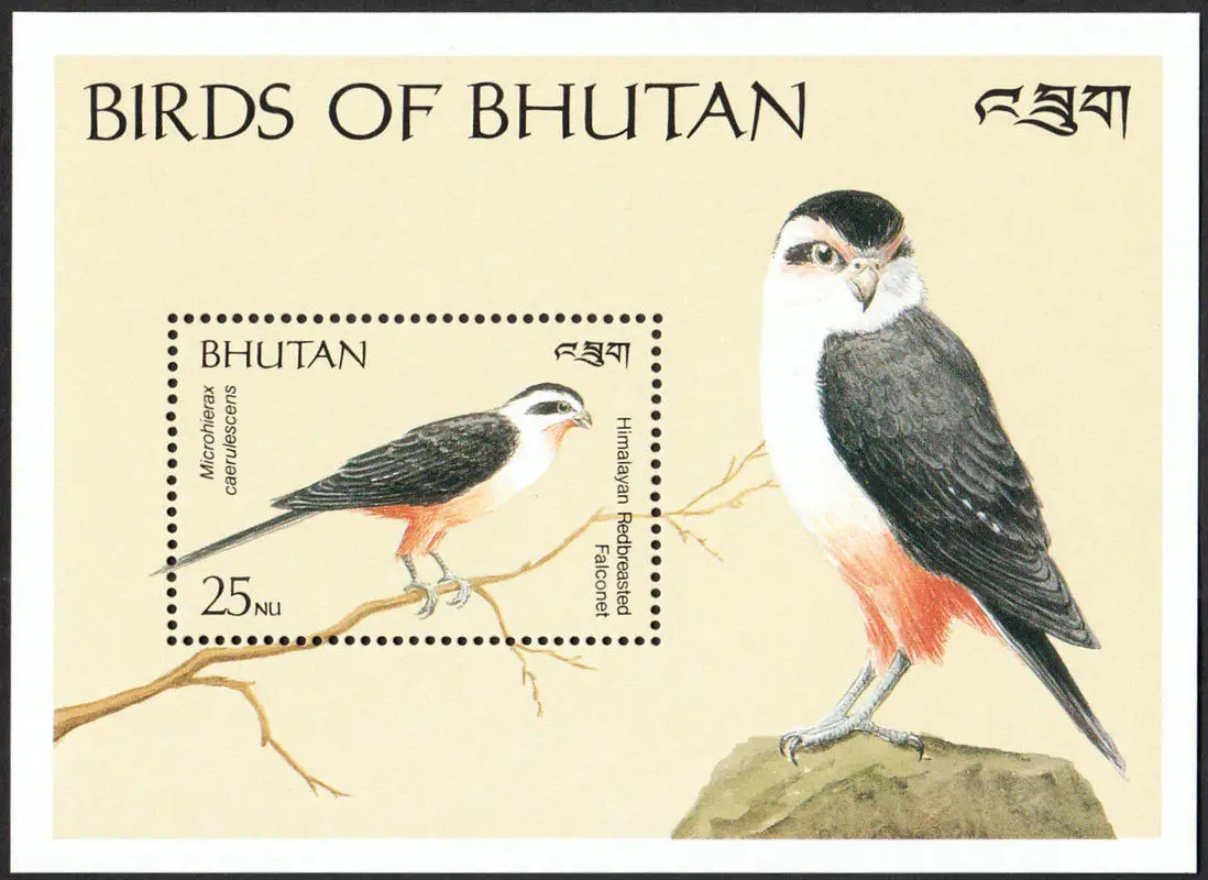 Почта Bhutan, почтовые марки, год 1989 года, птица, красная нога, соколет, все новые коллекционные почтовые марки MNH, материал для скрапбукинга (art.: 3920d49bed6cf) - 3920d49bed6cf