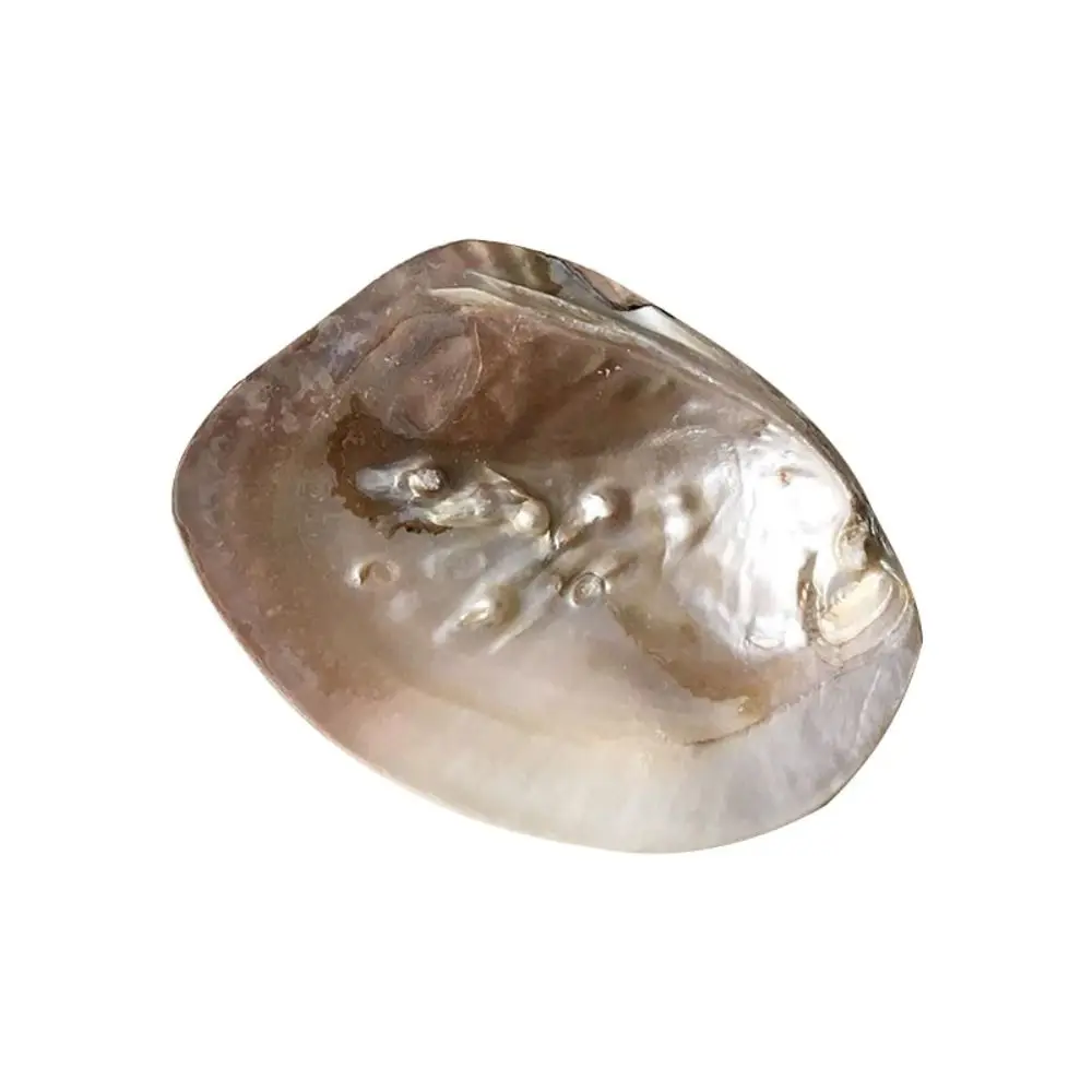 

Натуральный лоток для украшений Shell