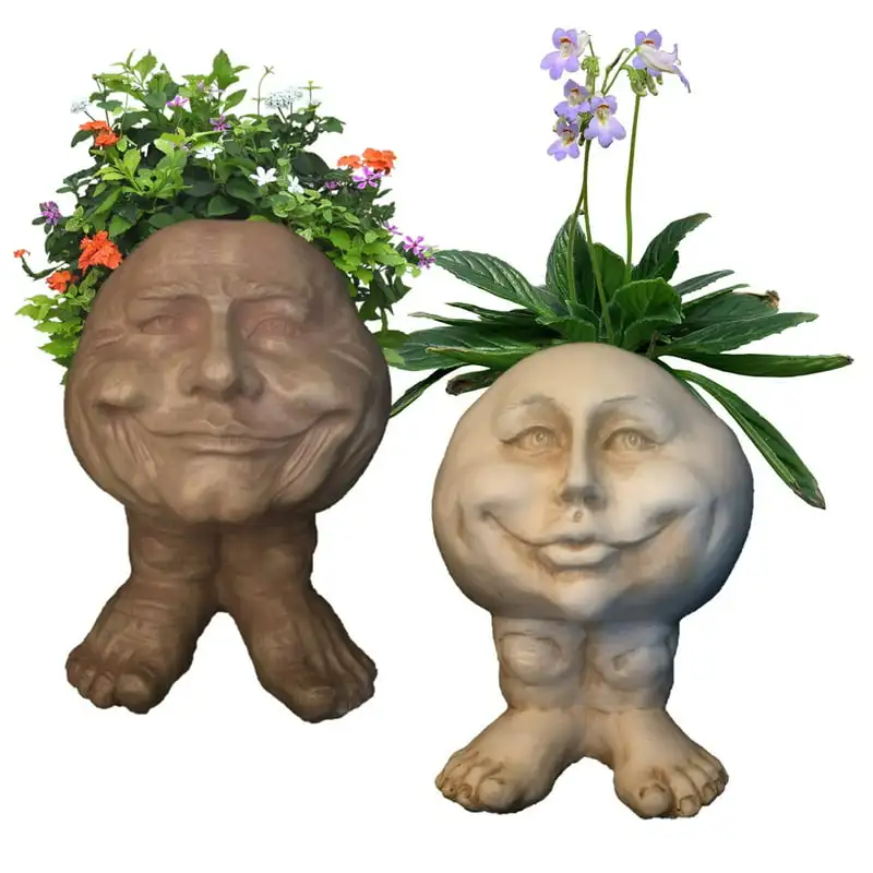 

Белая папа и мама Petunia, горшок с хумористической статуей лица