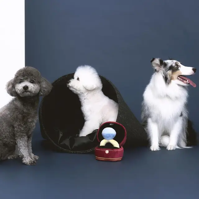 Creative Ring Box Plush Toy Love Diamond Ring Case Stuffed Pet Chew Toy Sounds Puppies Kids Cute Soft Dog Bitter Interested Toys 6