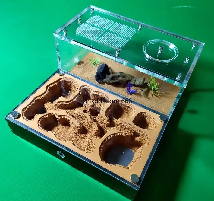 Формикариум для разведения муравьев муравьиная семья гнездо школы научная