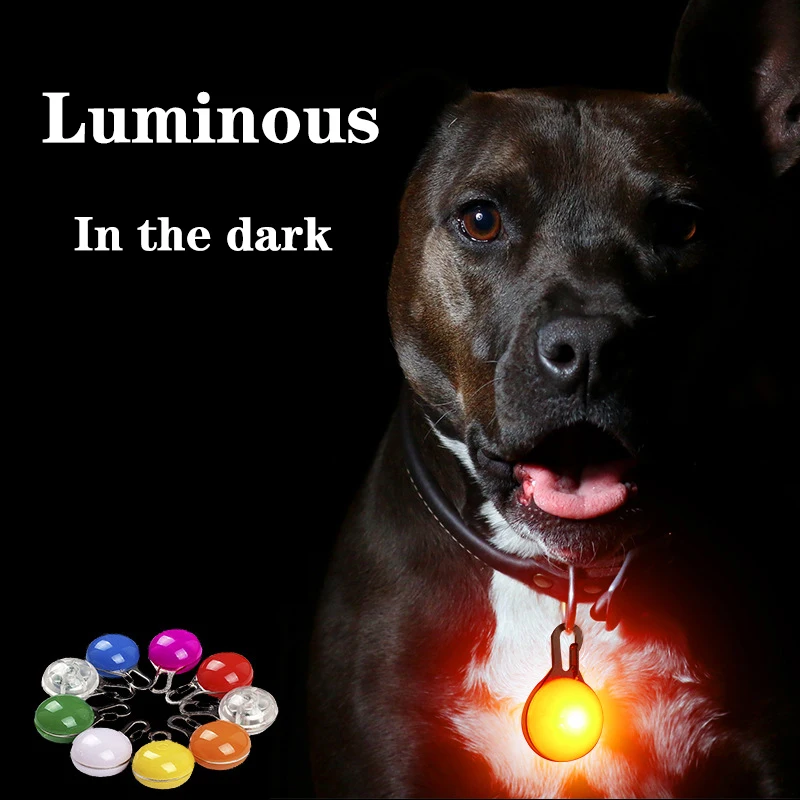 

Pet Dog Cat LED Glowing Pendant Night Light Flashing Collar Pet Leads Accessories USB Rechargeable Glow In The Dark Dog Collars