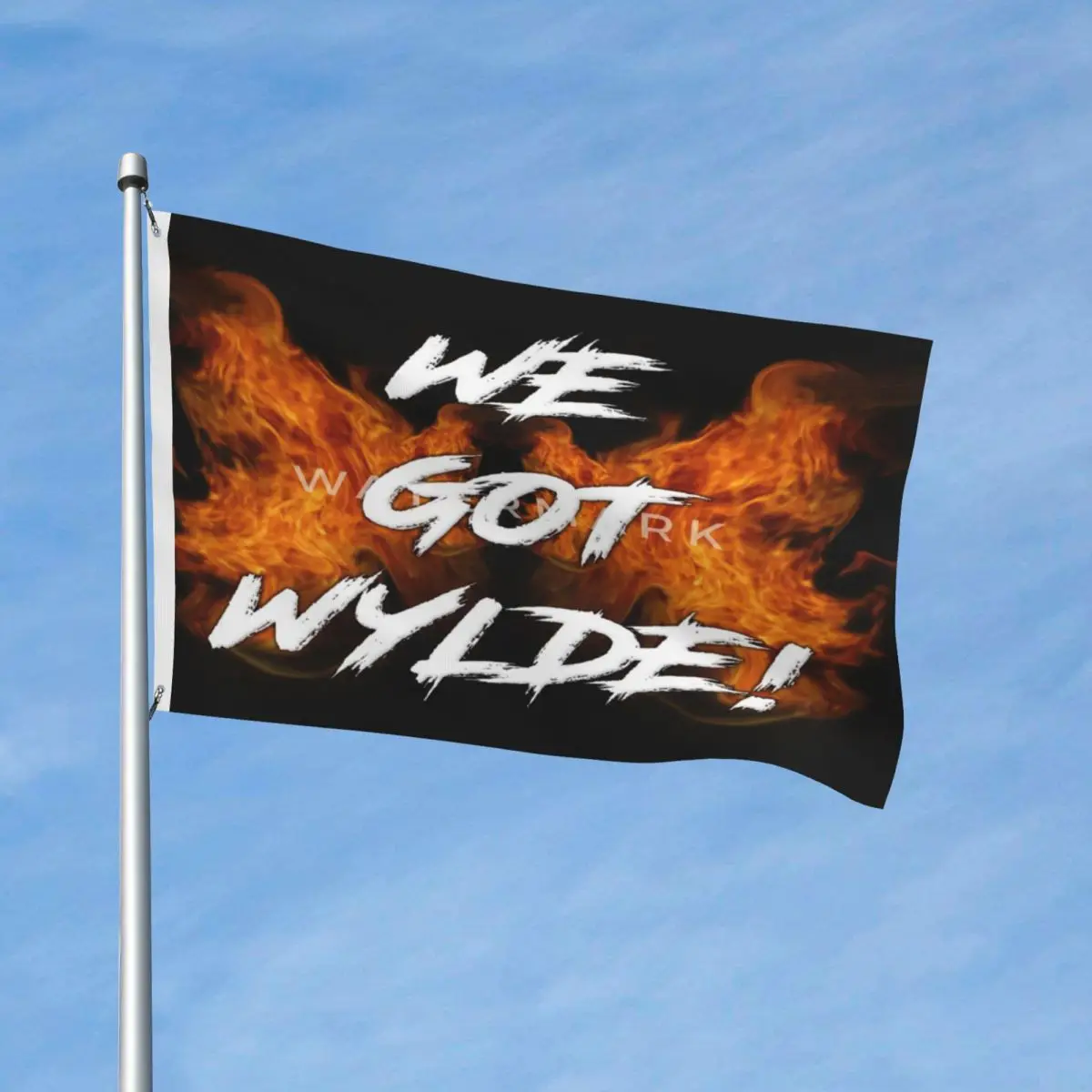 

We Got Wylde Flag Decor Modern Outdoor Lawn Vibrant Colors Flowy Delicate