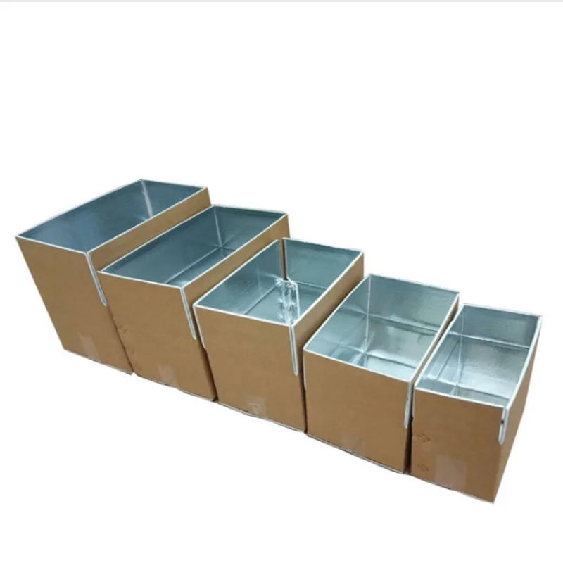 

Customized Heavy Duty Thermal Insulated Shipping Box for Frozen Food