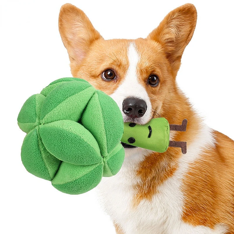 

Snuffle Broccoli Dog Puzzle Toys Increase IQ Slow Dispensing Feeder Pet Cat Training Games Feeding Feeding Food Intelligence Toy