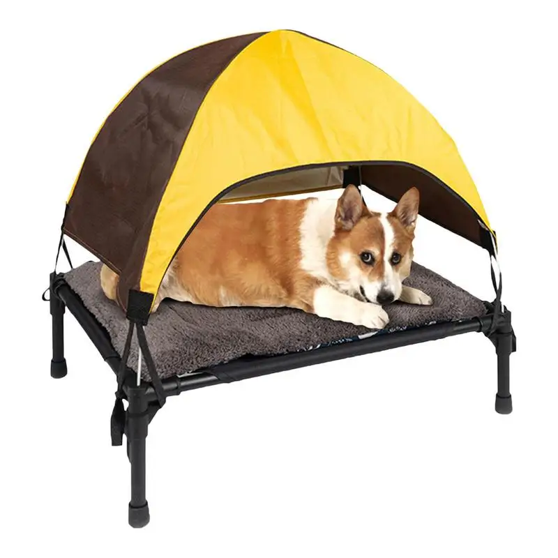 Camping with Dog