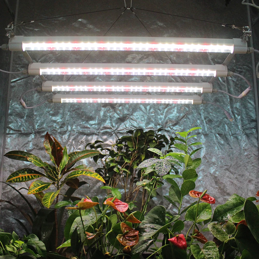 For Plant Greenhouse