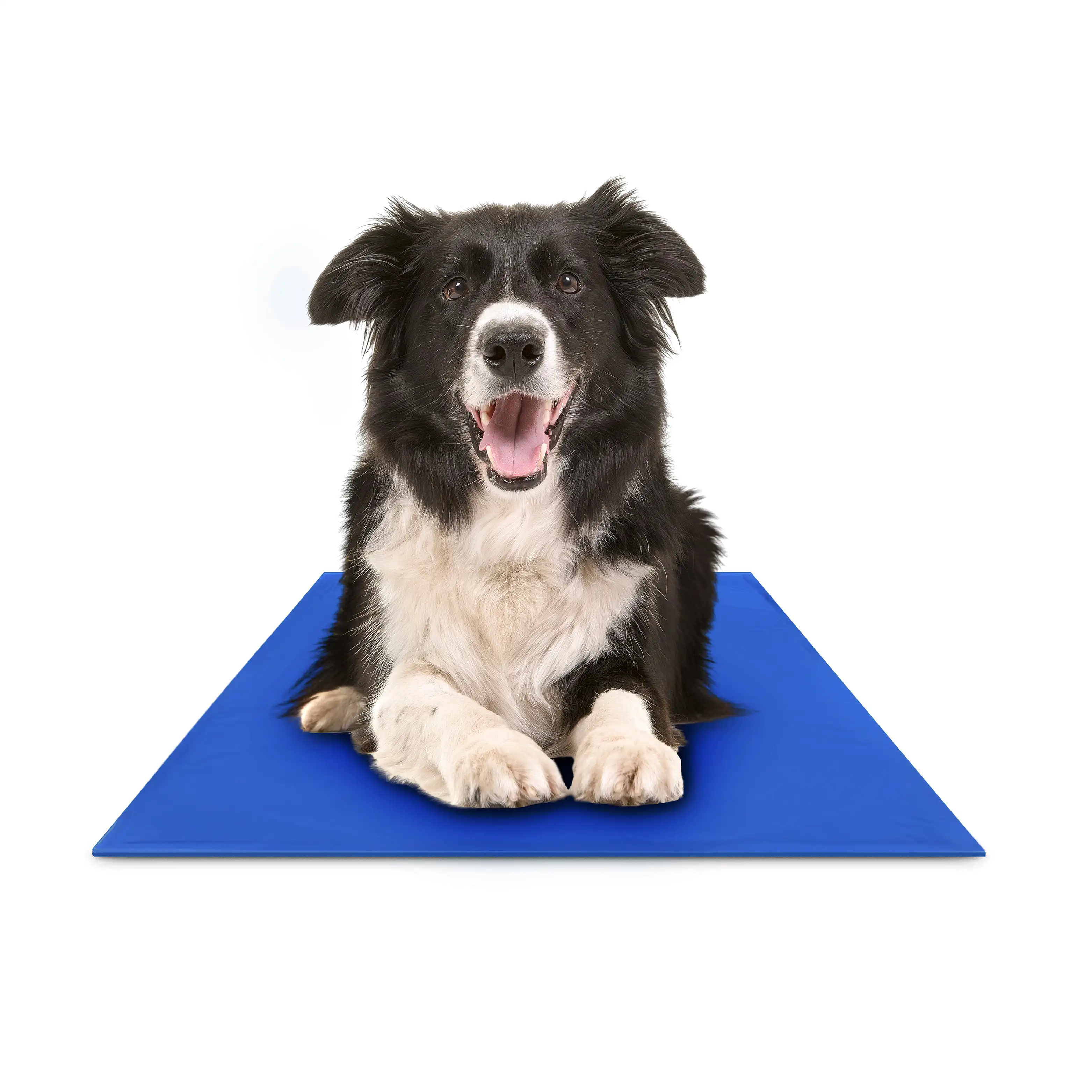 

Chillz Cooling Mat for Dogs, Large Size Cool Pad - 36 x 20 Inches