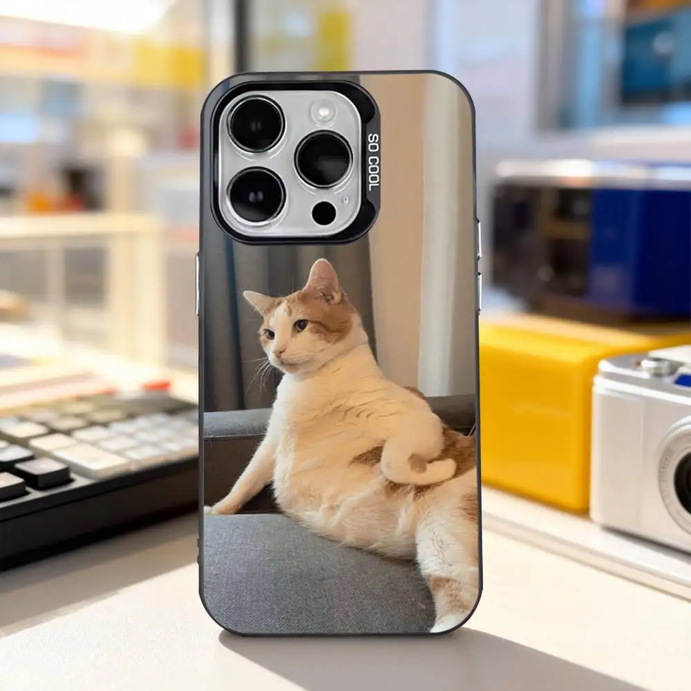 Фото Забавные мемы с котиками: милый чехол для iPhone 11, 12, 13, 14, 15, 16, 17, Pro, Max, Plus, E, Air, Mini, матовый черный IMD №5
