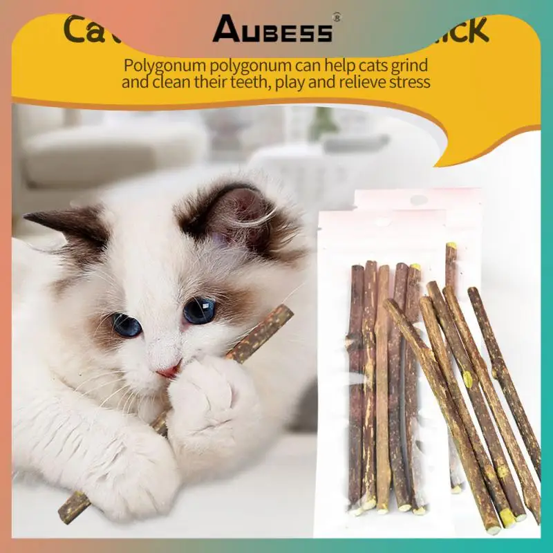 

2/4/5PCS Funny Cat Snacks Sticks Improve Appetite Cat Molar Stick Natural Plants Clean Teeth Catnip Pet Supplies Toys Green