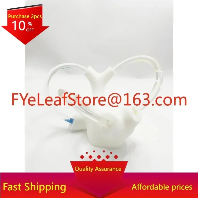 Семициркулярная модель анатомии канала оттолита структура кохлеарной