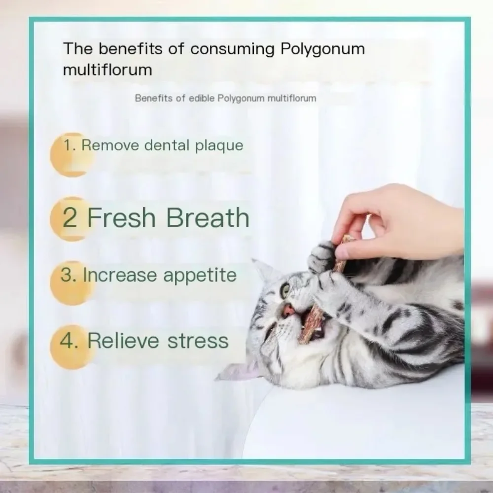 6 Натуральных Игрушек Для Кошек Мятные Палочки Серебряная Лоза