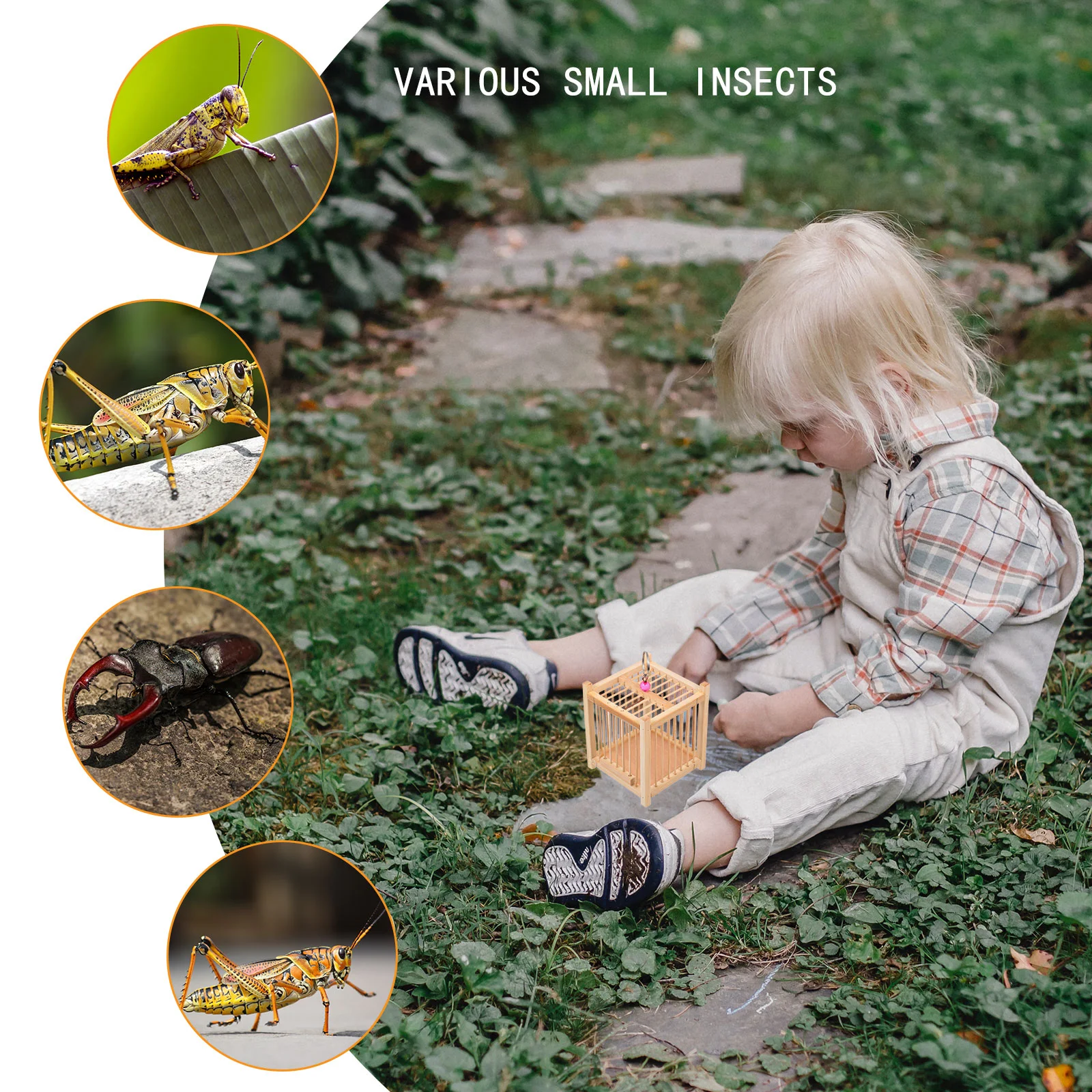 Клетка для переноски трав насекомых дома мелких бамбуковых тараканов играющих