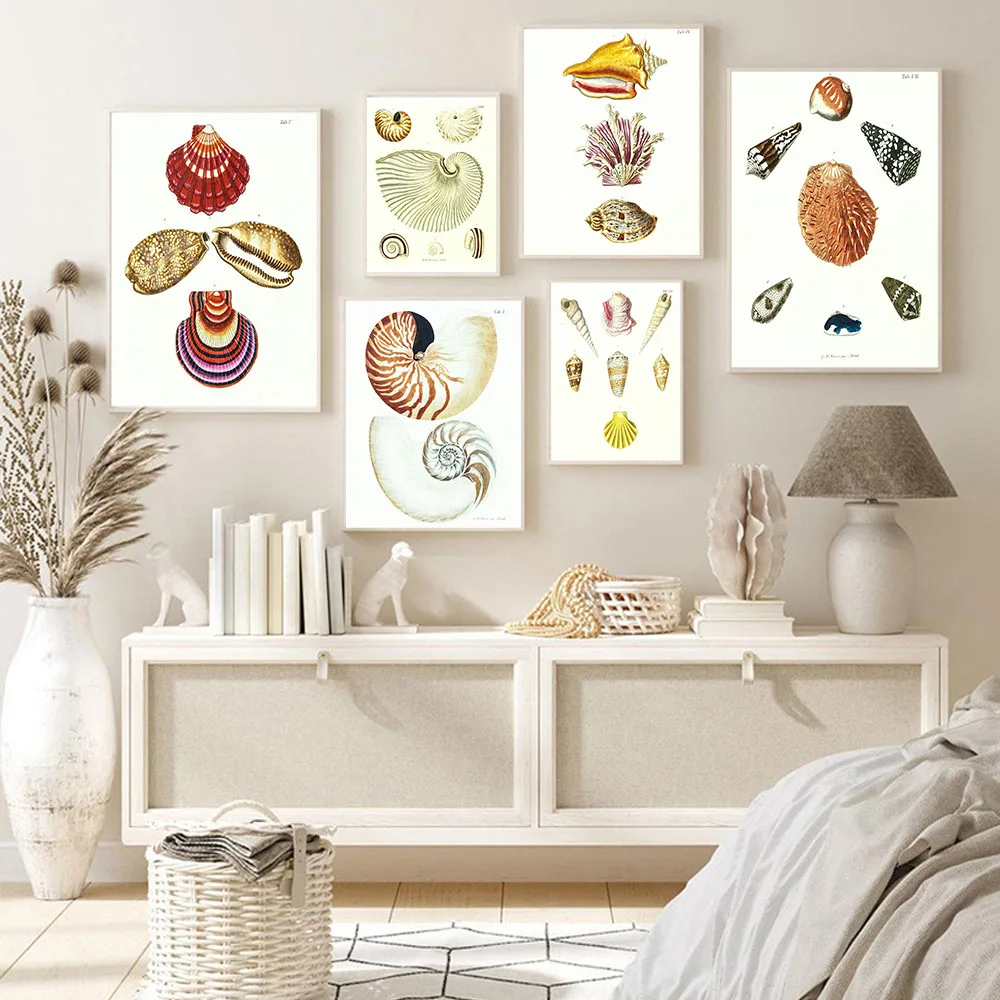 

Beautiful Shell Poster Abstract Vintage Canvas Painting Marine Animal Science Wall Art Prints Frameless Room Decor
