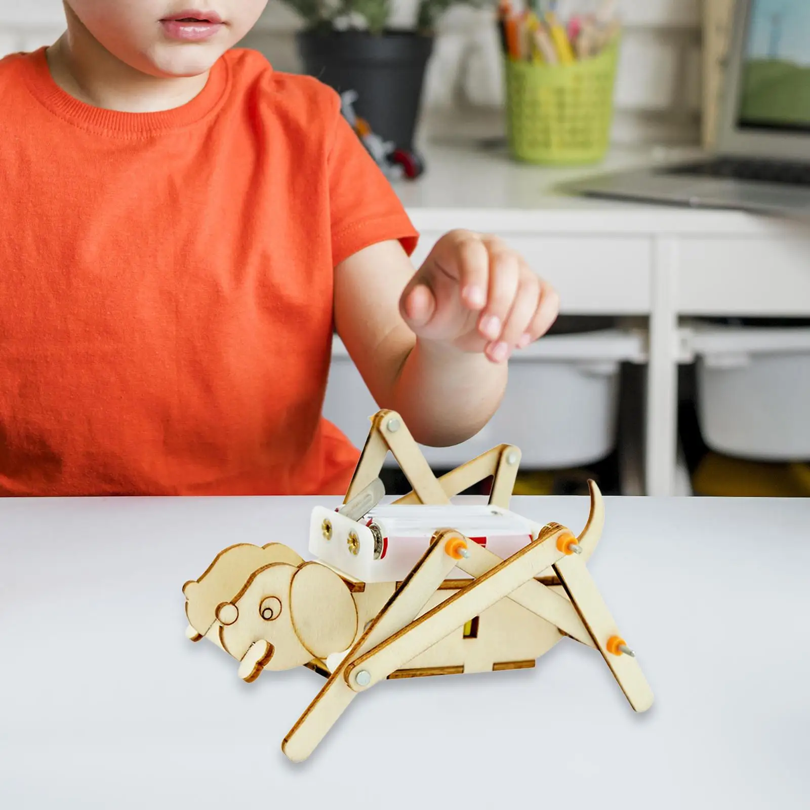 Набор деревянных моделей сделай сам научный набор обучающая игрушка деревянный