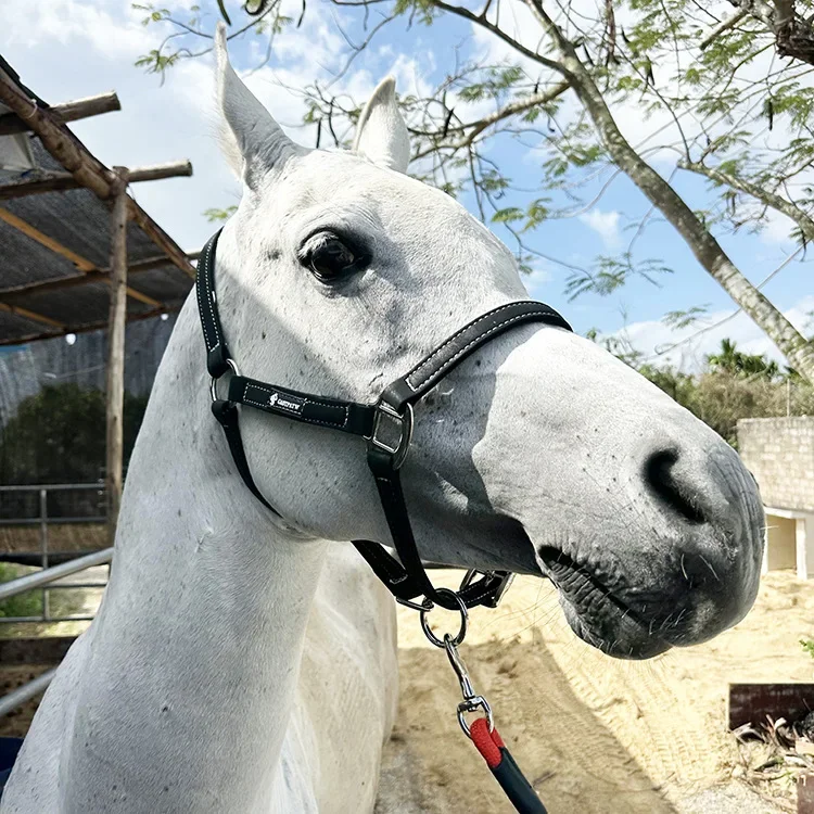 Веревка для закусок с головой уздечкиПродукты связыванияМаленькие и большие